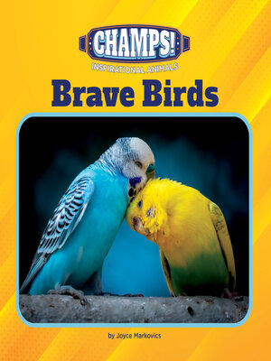cover image of Brave Birds